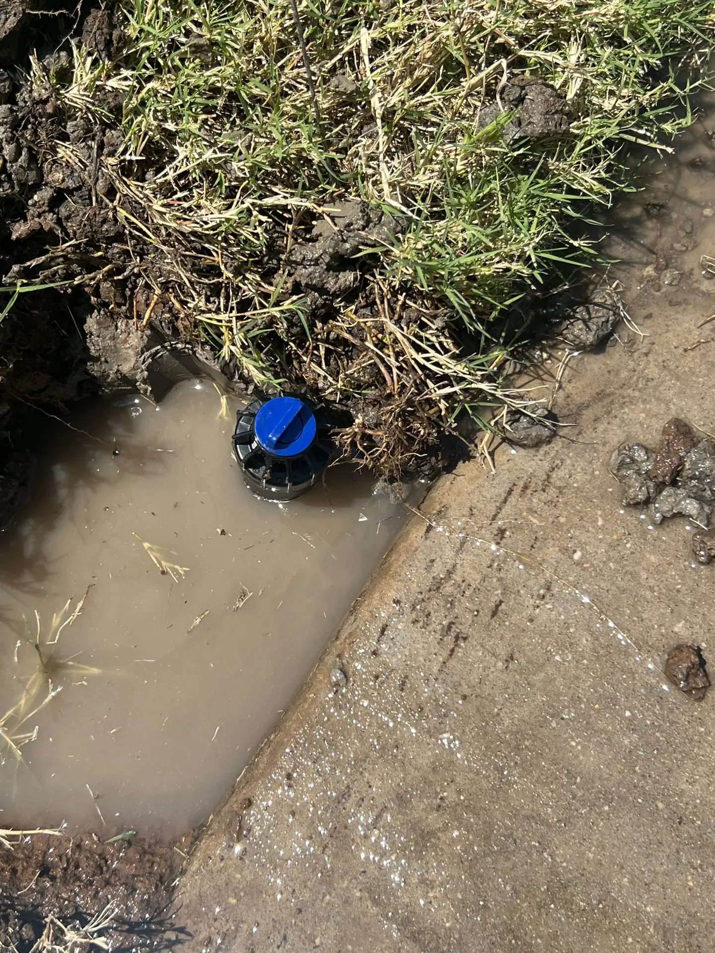 Dallas sprinkler repair