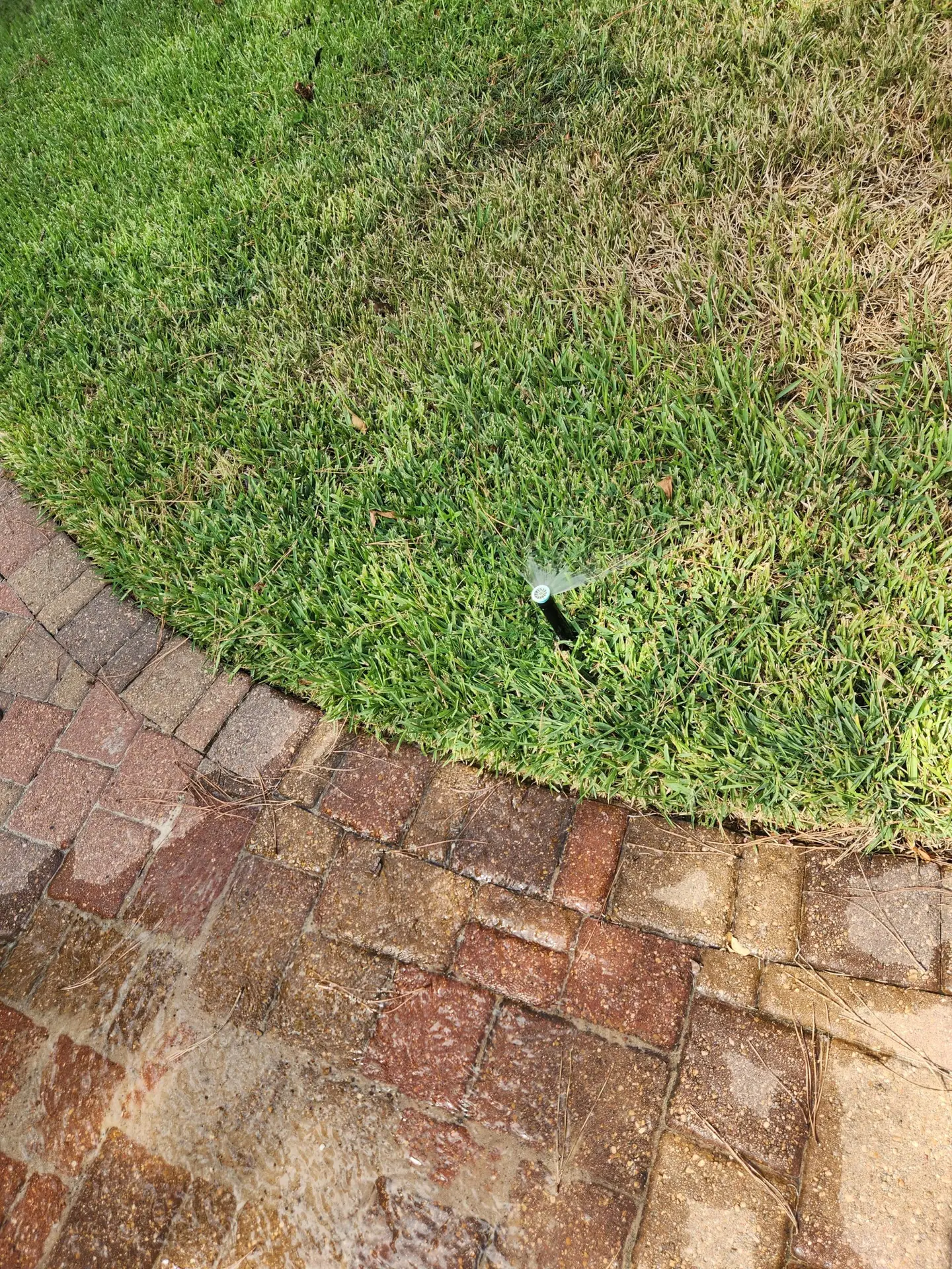 Galveston Sprinkler Repair