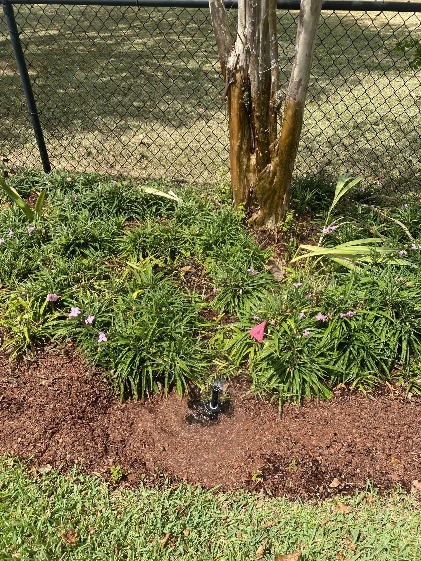 Grapevine Sprinkler Repair