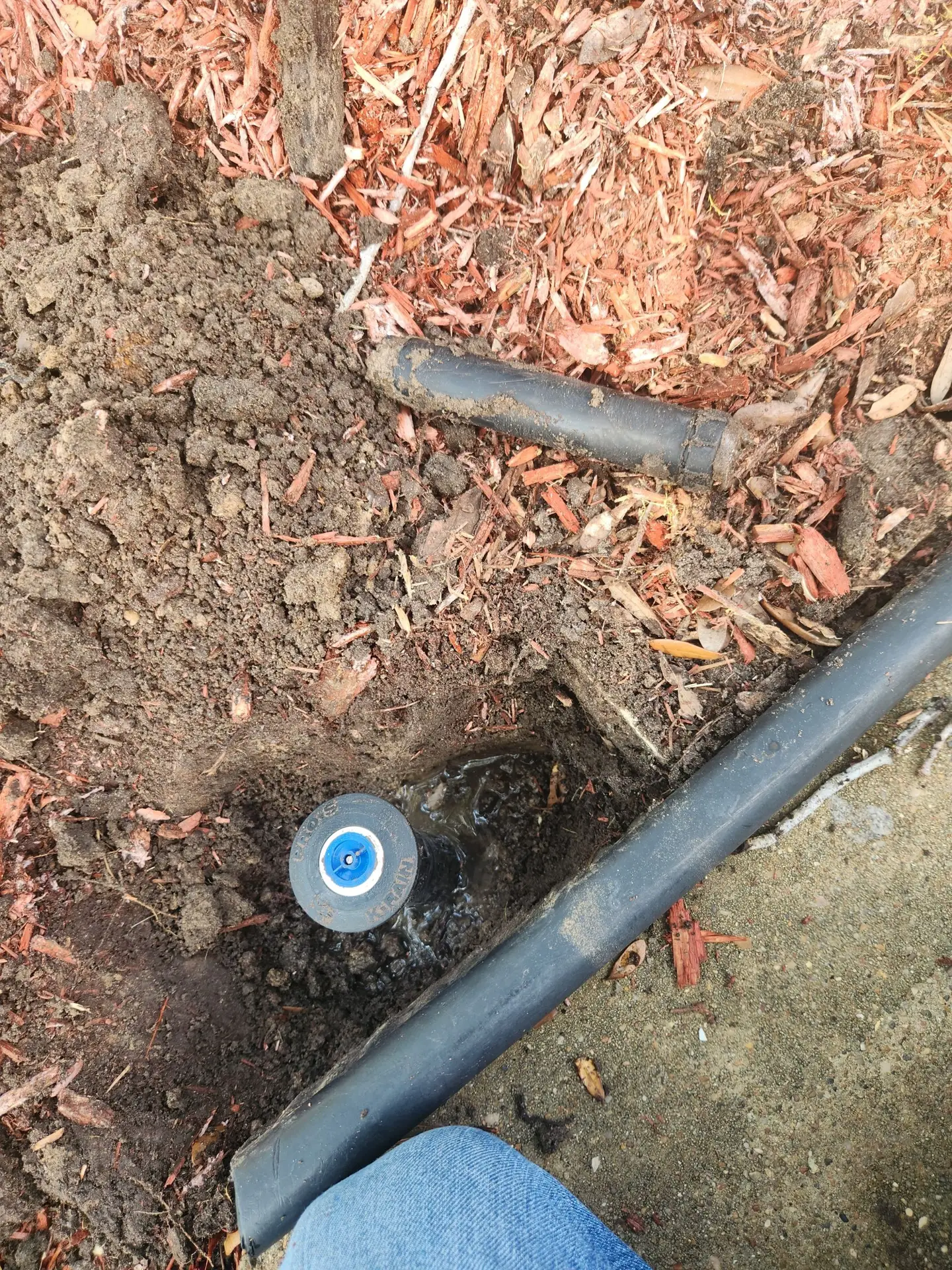 Magnolia Sprinkler Repair